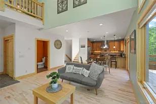 294 Mine Dump Rd, Fairplay, CO 80440 - Photo 9