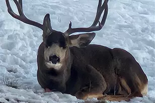 2660 Campfire Rd, Hartsel, CO 80449 - Photo 45