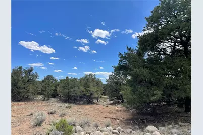 3855 Jubilant Way, Crestone, CO 81131 - Photo 7