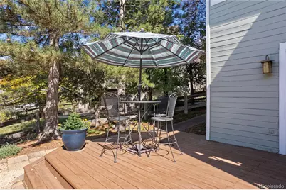 368 Woodstock Lane, Castle Pines, CO 80108 - Photo 37