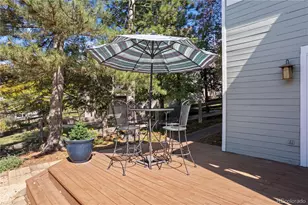 368 Woodstock Ln, Castle Pines, CO 80108 - Photo 37