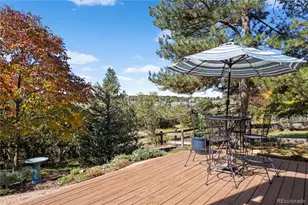 368 Woodstock Ln, Castle Pines, CO 80108 - Photo 39