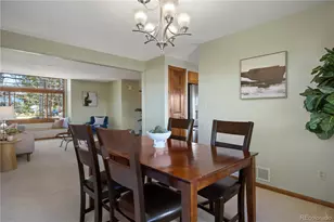 368 Woodstock Ln, Castle Pines, CO 80108 - Photo 19