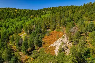 13007 Kuehster Rd, Littleton, CO 80127 - Photo 11