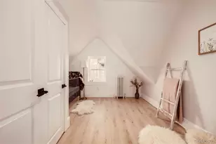 1111 N Corona St, Denver, CO 80218 - Photo 35