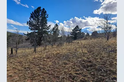 908 Raven Way, Como, CO 80432 - Photo 33