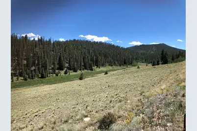 1135 Swiggler Road, Jefferson, CO 80456 - Photo 19