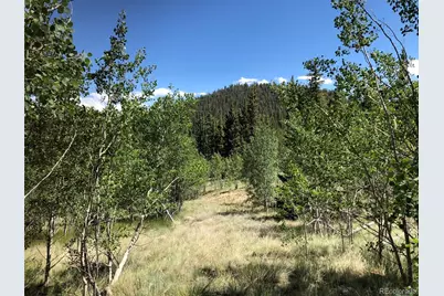 1135 Swiggler Road, Jefferson, CO 80456 - Photo 15