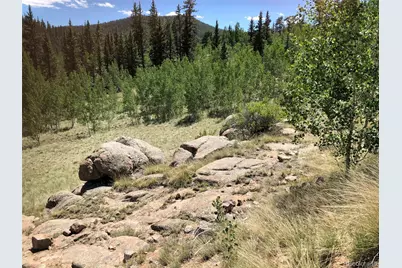 1135 Swiggler Road, Jefferson, CO 80456 - Photo 25