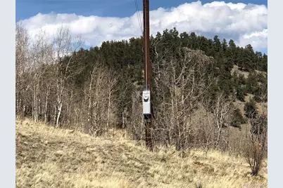 1135 Swiggler Road, Jefferson, CO 80456 - Photo 11