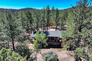 13019 S Parker Ave, Pine, CO 80470 - Photo 3