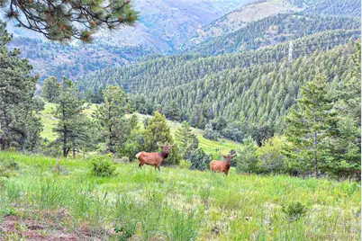 25997 Mountain View Road, Golden, CO 80401 - Photo 47