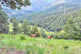 25997 Mountain View Rd, Golden, CO 80401 - Photo 47