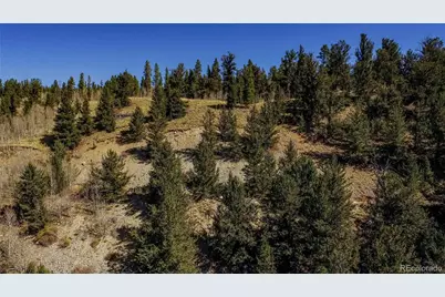 425 Platte River Drive, Fairplay, CO 80440 - Photo 39