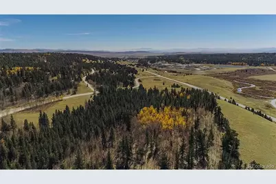 425 Platte River Drive, Fairplay, CO 80440 - Photo 19