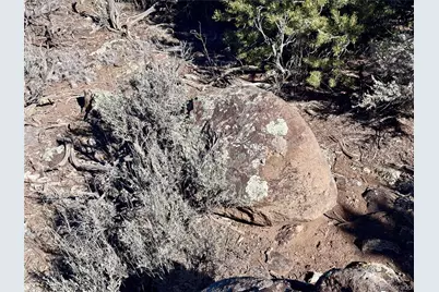 Lot 2434 Simone Road, Fort Garland, CO 81133 - Photo 15