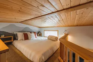 19253 E Hwy 24, Woodland Park, CO 80863 - Photo 43
