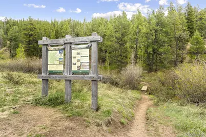 0 Summit Drive, Bailey, CO 80421 - Photo 9