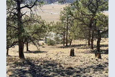 3464 Elkhorn Road, Hartsel, CO 80449 - Photo 33