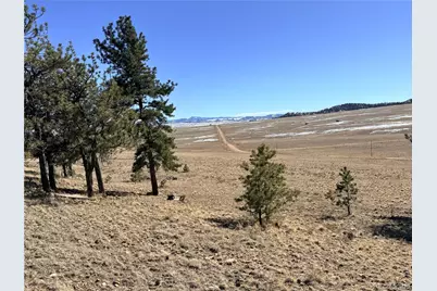 3464 Elkhorn Road, Hartsel, CO 80449 - Photo 29