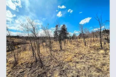 1238 Overland Circle, Jefferson, CO 80456 - Photo 23