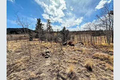 1238 Overland Circle, Jefferson, CO 80456 - Photo 7