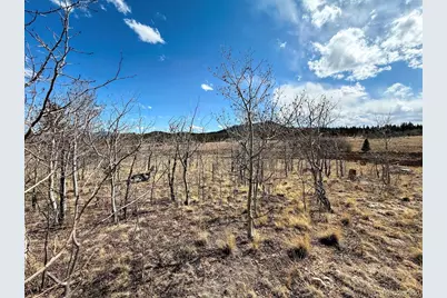 1238 Overland Circle, Jefferson, CO 80456 - Photo 25