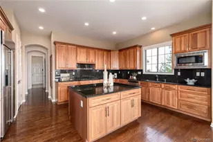 6250 Shavano Peak Way, Castle Rock, CO 80108 - Photo 13