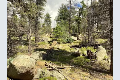 Tbd L 27 Copper Mountain Road, Cotopaxi, CO 18223 - Photo 19