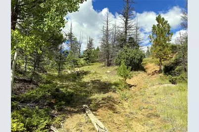 Tbd L 27 Copper Mountain Road, Cotopaxi, CO 18223 - Photo 23