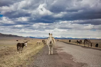 790 Tiara Road, Lake George, CO 80827 - Photo 19