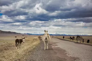 790 Tiara Rd, Lake George, CO 80827 - Photo 19