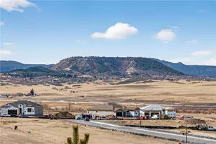 289 Leafy Aster Ln, Castle Rock, CO 80104 - Photo 31