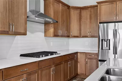 289 Leafy Aster Lane, Castle Rock, CO 80104 - Photo 11