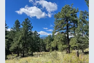 Tbd Barney Gulch Road, Conifer, CO 80433 - Photo 7
