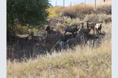 3005 N County Road 29, Loveland, CO 80538 - Photo 21