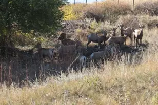 3005 N Co Rd 29, Loveland, CO 80538 - Photo 21