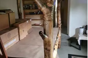 3005 N Co Rd 29, Loveland, CO 80538 - Photo 9