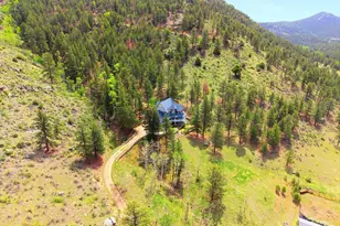 1458 Crow Creek Rd, Bailey, CO 80421 - Photo 39