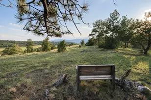 4701 Co Rd 323, Westcliffe, CO 81252 - Photo 29