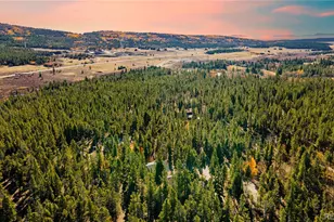 235 Willow Ln, Fairplay, CO 80440 - Photo 1