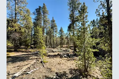 235 Willow Lane, Fairplay, CO 80440 - Photo 3