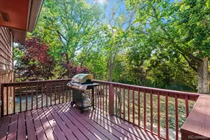 61 Birch Ct, Longmont, CO 80503 - Photo 13