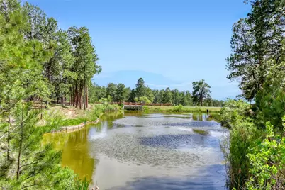 [Address not provided], Black Forest, CO  - Photo 43