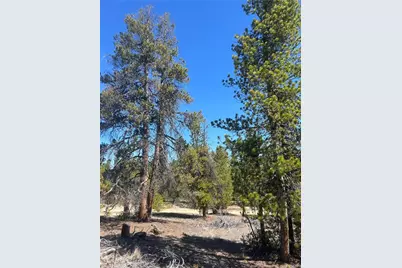 266 Ponderosa Drive, Leadville, CO 80461 - Photo 3