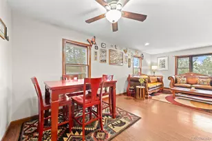 41 Yew Ln, Bailey, CO 80421 - Photo 21