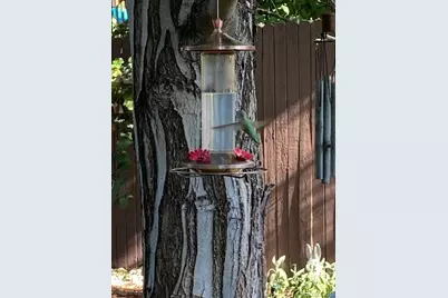 7808 Arundel Lane, Lone Tree, CO 80124 - Photo 15