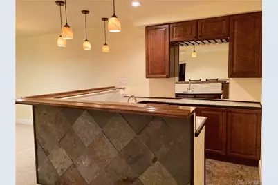 7808 Arundel Lane, Lone Tree, CO 80124 - Photo 25