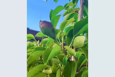 330 7th Street, Penrose, CO 81240 - Photo 33