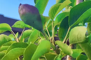 330 7th St, Penrose, CO 81240 - Photo 33